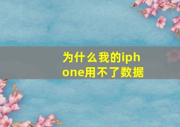 为什么我的iphone用不了数据