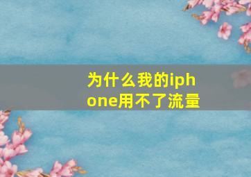 为什么我的iphone用不了流量