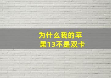 为什么我的苹果13不是双卡