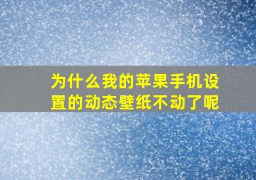 为什么我的苹果手机设置的动态壁纸不动了呢