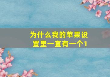 为什么我的苹果设置里一直有一个1