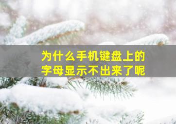 为什么手机键盘上的字母显示不出来了呢