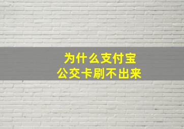 为什么支付宝公交卡刷不出来