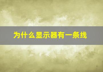 为什么显示器有一条线