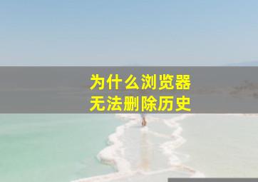 为什么浏览器无法删除历史