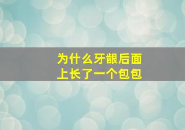 为什么牙龈后面上长了一个包包