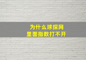 为什么球探网里面指数打不开