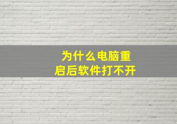 为什么电脑重启后软件打不开