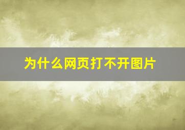 为什么网页打不开图片