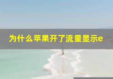 为什么苹果开了流量显示e