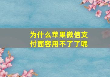 为什么苹果微信支付面容用不了了呢