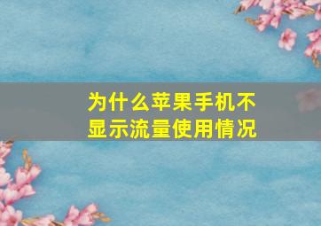 为什么苹果手机不显示流量使用情况