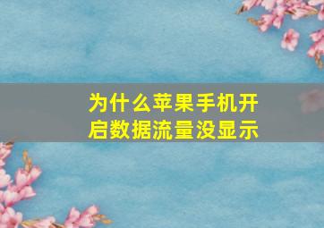 为什么苹果手机开启数据流量没显示