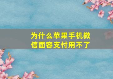 为什么苹果手机微信面容支付用不了