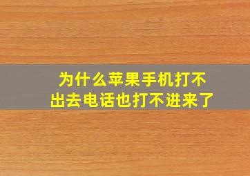 为什么苹果手机打不出去电话也打不进来了