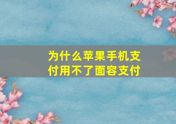 为什么苹果手机支付用不了面容支付