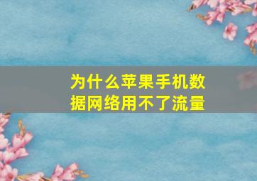 为什么苹果手机数据网络用不了流量