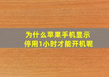 为什么苹果手机显示停用1小时才能开机呢