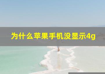 为什么苹果手机没显示4g