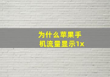 为什么苹果手机流量显示1x