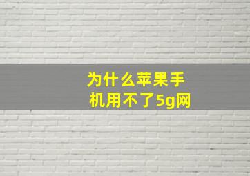 为什么苹果手机用不了5g网