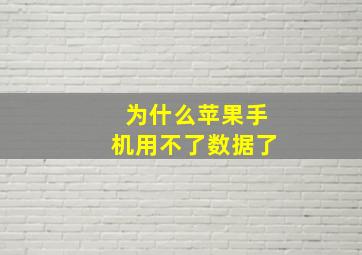 为什么苹果手机用不了数据了