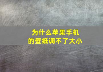 为什么苹果手机的壁纸调不了大小