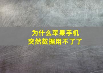 为什么苹果手机突然数据用不了了