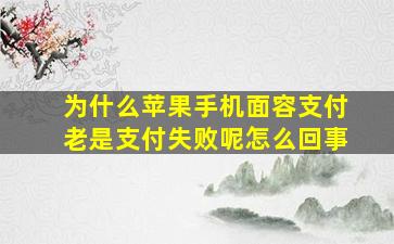 为什么苹果手机面容支付老是支付失败呢怎么回事