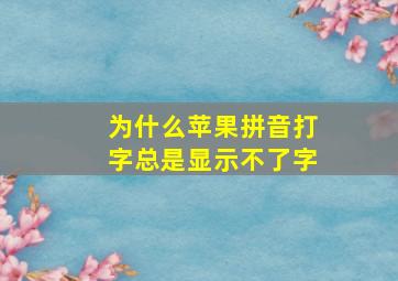 为什么苹果拼音打字总是显示不了字