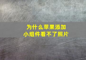 为什么苹果添加小组件看不了照片