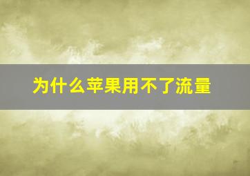 为什么苹果用不了流量