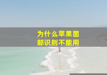 为什么苹果面部识别不能用