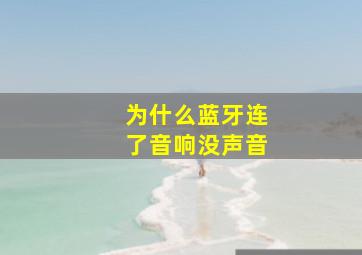 为什么蓝牙连了音响没声音