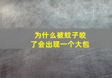 为什么被蚊子咬了会出现一个大包