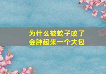 为什么被蚊子咬了会肿起来一个大包