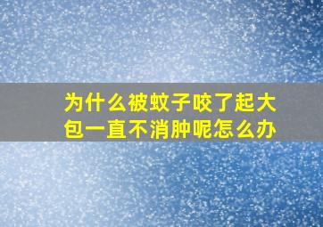 为什么被蚊子咬了起大包一直不消肿呢怎么办