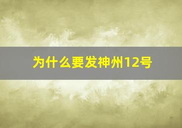 为什么要发神州12号