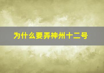 为什么要弄神州十二号