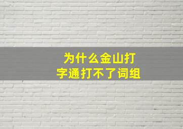 为什么金山打字通打不了词组