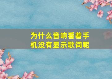 为什么音响看着手机没有显示歌词呢