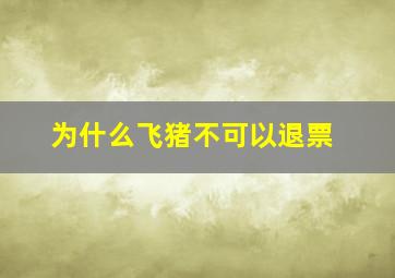 为什么飞猪不可以退票