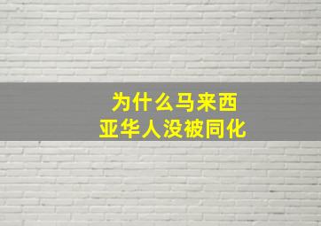 为什么马来西亚华人没被同化