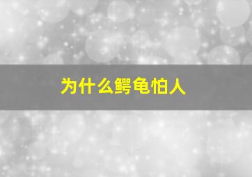 为什么鳄龟怕人