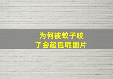 为何被蚊子咬了会起包呢图片