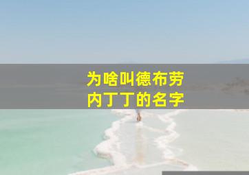 为啥叫德布劳内丁丁的名字