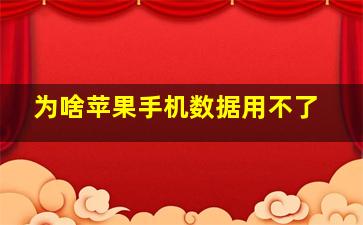 为啥苹果手机数据用不了