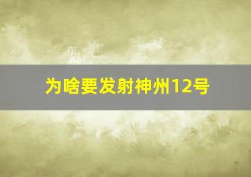 为啥要发射神州12号