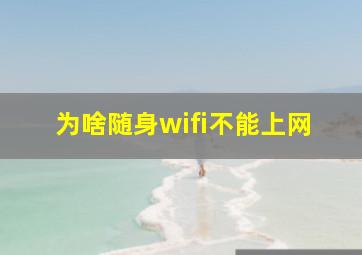 为啥随身wifi不能上网