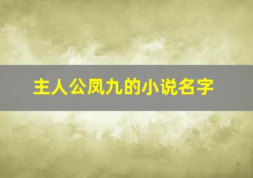 主人公凤九的小说名字